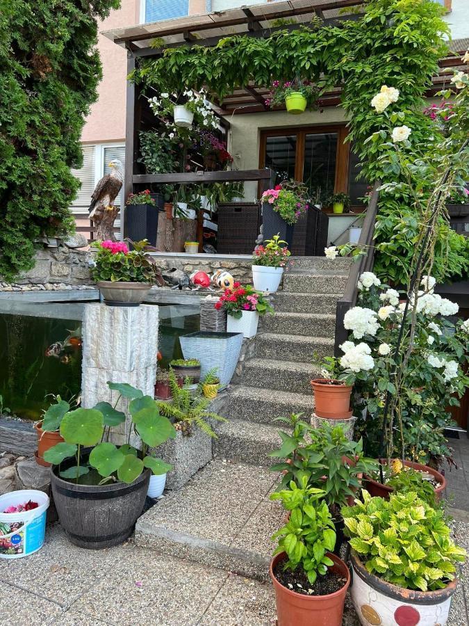 Ubytovani Na Hrazi 91 Znojmo Extérieur photo