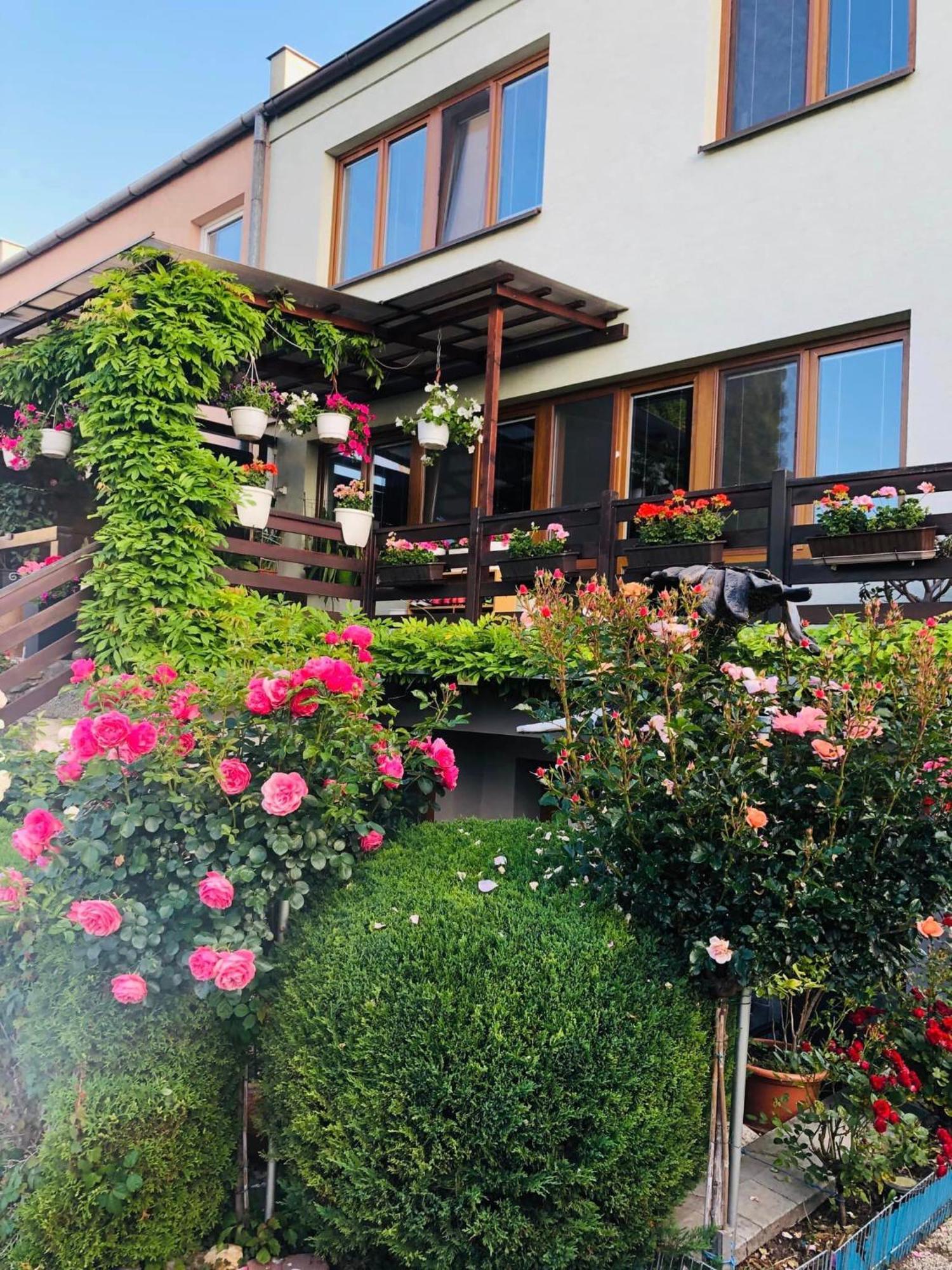 Ubytovani Na Hrazi 91 Znojmo Extérieur photo