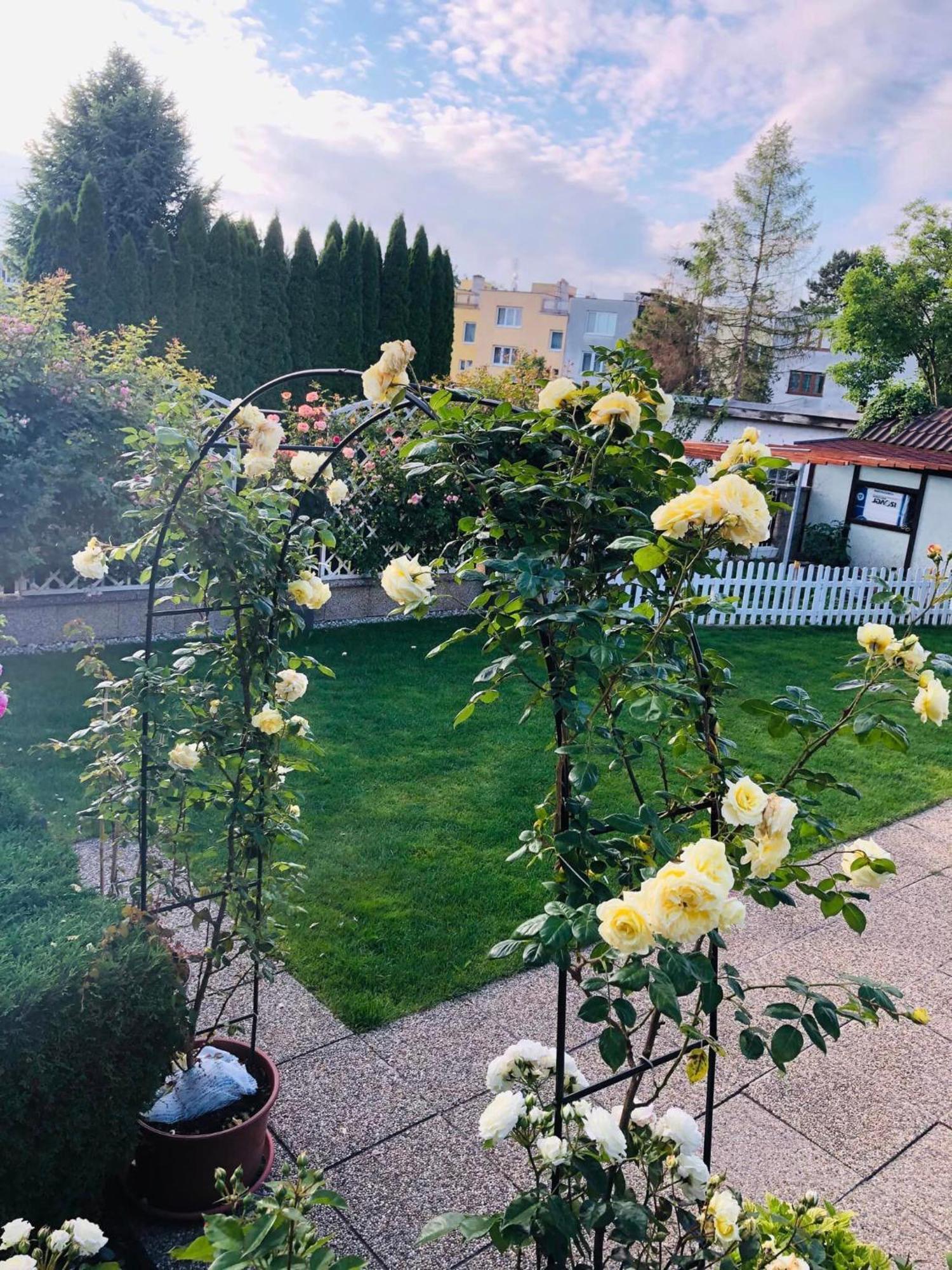 Ubytovani Na Hrazi 91 Znojmo Extérieur photo